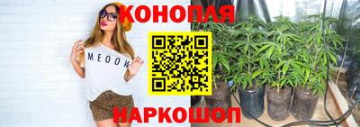 гидропоника Жуковский