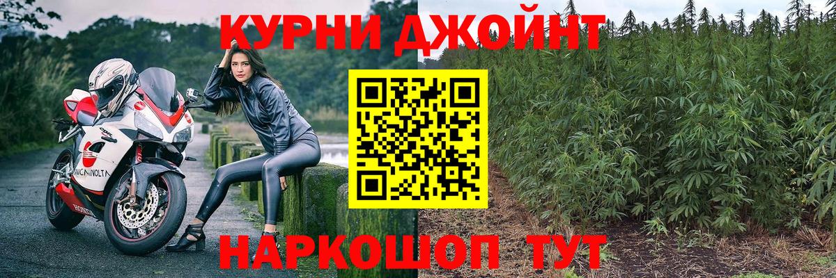 Каннабис планчик Майский